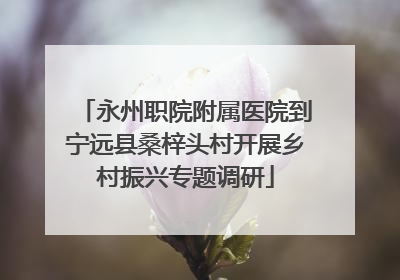永州职院附属医院到宁远县桑梓头村开展乡村振兴专题调研